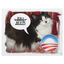 Obama Pet/Political Humour