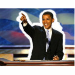 Obama Pin photo sculptures