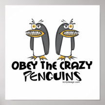 Obéissez les pingouins fous ! affiche