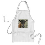 Oberhasli brown goat head shot in colour apron