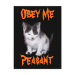 Obey Me Peasant