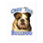 Obey the Bulldog Post Card