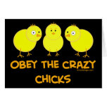 Obey The Crazy Chicks Cards