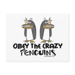 Obey the crazy Penguins!