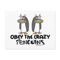 Obey the crazy Penguins!