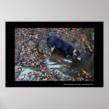Obie Rock Hunting Posters