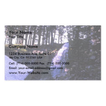 Obsidian Falls Business Cards