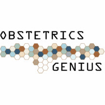 Obstetrics Genius Photo Sculpture
