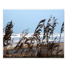 OBX PHOTO