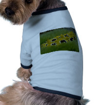Occilated nudibranch feeding on sea grass dog t shirt
