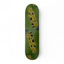 Occilated nudibranch feeding on sea grass skateboard decks