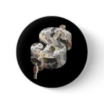 Occupy Wall Street buttons