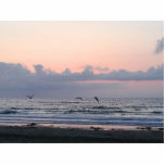 Ocean Beaches Sunset Clouds Palm Trees Photo Cutout