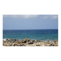 Ocean Beauty