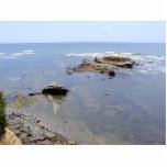 Ocean Bird Rock Beach Tidepools Water photo sculptures