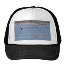 Ocean Birds Seagulls Seaweed Trucker Hat