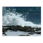 Ocean Blue/ Response Card Post Cards