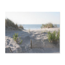 Ocean City Dunes Postcards