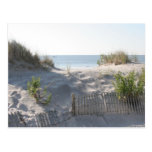 Ocean City Dunes Postcards