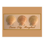 Ocean City, Maryland Postcard