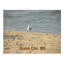 Ocean City, MD Postcard postcards