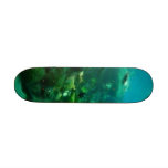 ocean reef skateboard