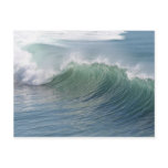 Ocean Splendour Postcard