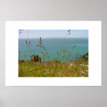 Ocean Vista Posters