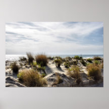 Ocean Vista Print