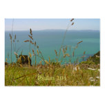 Ocean Vista - Psalm 104 business cards
