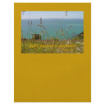 Ocean Vista - Psalm 104 flyers