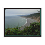 Oceans Curve Post Cards