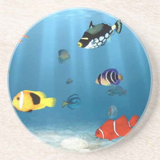 Oceans Of Fish Beverage Coaster