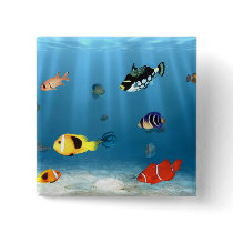 Oceans Of Fish