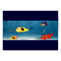 Oceans Of Fish