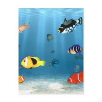 Oceans Of Fish