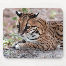 Ocelot 01 9x9 mousepad