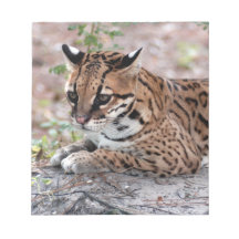 Ocelot 01 9x9 memo notepad