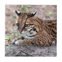 Ocelot 01 9x9 tiles