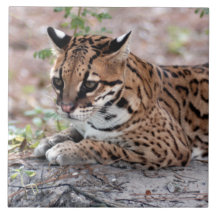 Ocelot 01 9x9 ceramic tile