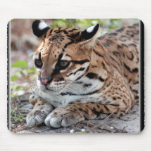 Ocelot 02 11x11 mouse pad