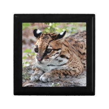 Ocelot 02 9x9 trinket box