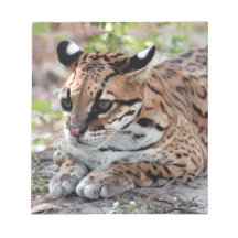 Ocelot 02 9x9 notepad