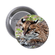 Ocelot 02 9x9 pin