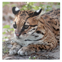 Ocelot 02 9x9 tiles