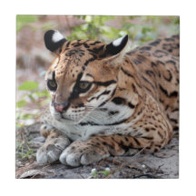 Ocelot 02 9x9 tile