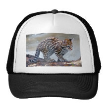 ocelot baby4x6 mesh hats