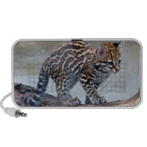 ocelot baby4x6 travelling speaker