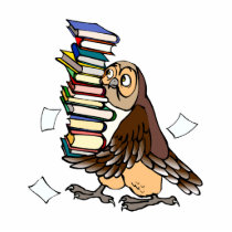 Octavian Owl
