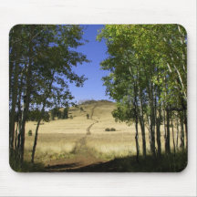 October 2008 009 mouse mats